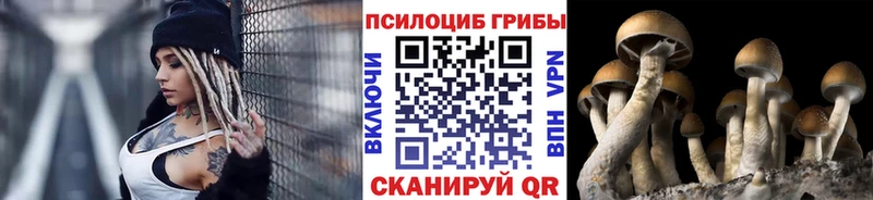 продажа наркотиков  Холм  Псилоцибиновые грибы Magic Shrooms 